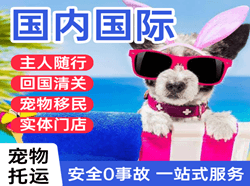 梧州西江机场物流国际宠物托运 【国